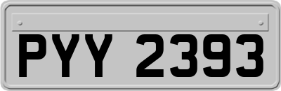 PYY2393