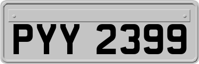 PYY2399