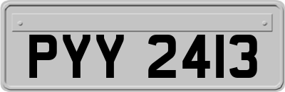 PYY2413