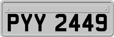 PYY2449