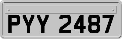 PYY2487