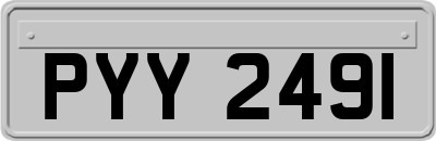 PYY2491