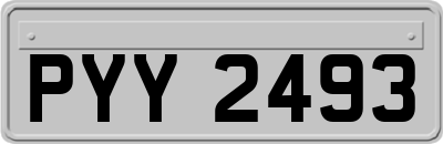 PYY2493