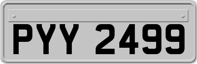 PYY2499