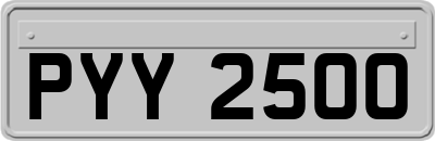 PYY2500