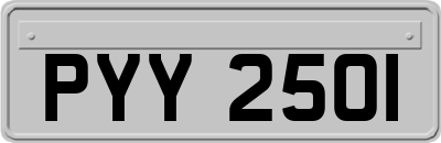 PYY2501