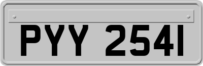 PYY2541