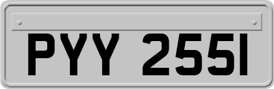 PYY2551