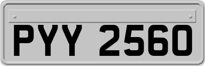 PYY2560