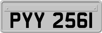 PYY2561
