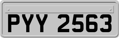 PYY2563