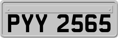 PYY2565