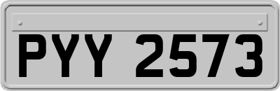 PYY2573