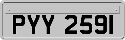 PYY2591