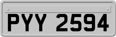 PYY2594