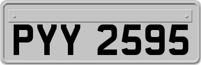 PYY2595