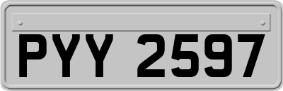 PYY2597
