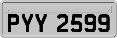 PYY2599