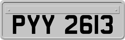 PYY2613