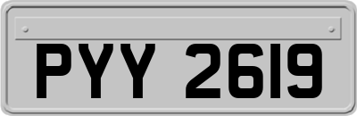 PYY2619
