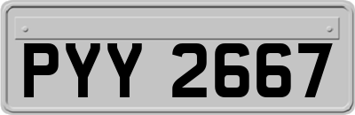 PYY2667