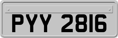 PYY2816