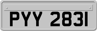 PYY2831