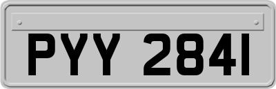PYY2841
