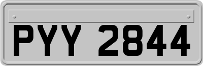 PYY2844