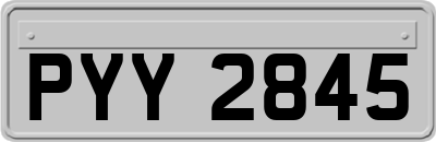PYY2845