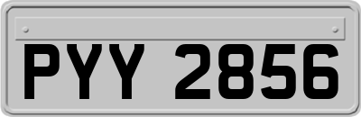 PYY2856