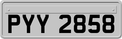 PYY2858