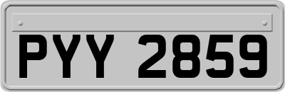 PYY2859