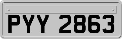 PYY2863