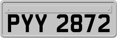 PYY2872