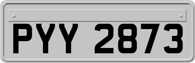 PYY2873