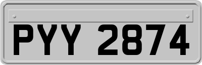 PYY2874