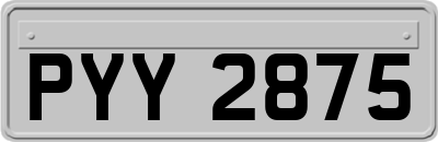 PYY2875
