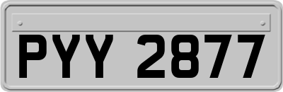 PYY2877