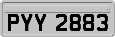 PYY2883