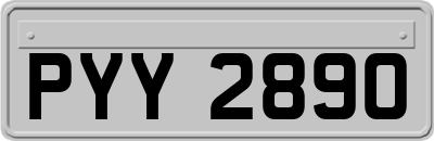 PYY2890