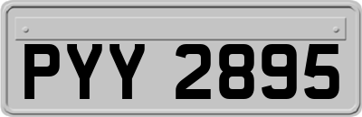 PYY2895