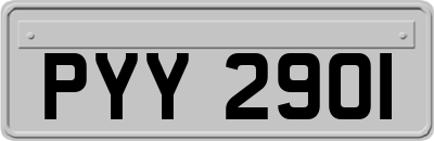 PYY2901