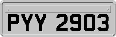 PYY2903