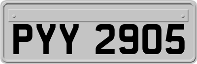 PYY2905