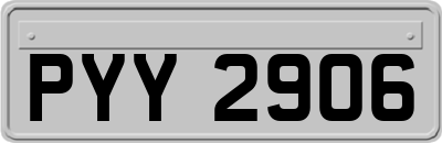 PYY2906