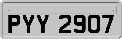 PYY2907