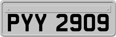 PYY2909