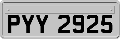 PYY2925