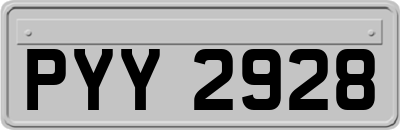 PYY2928